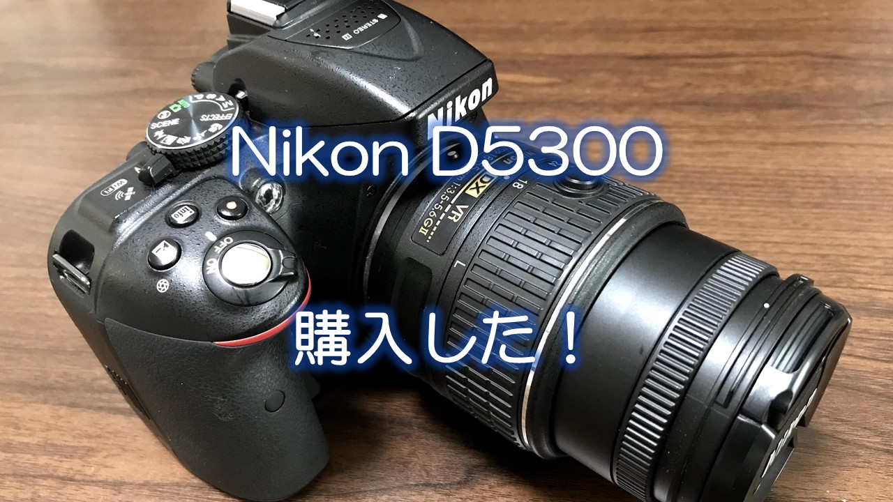 一眼レフカメラ Nicon d5300