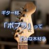 ギター材「ポプラ」ってどんな木材？