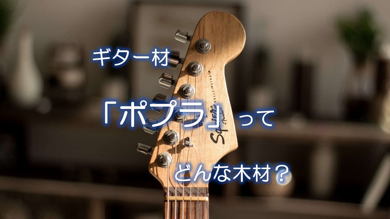 ギター材「ポプラ」ってどんな木材?