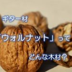 ギター材「ウォルナット」ってどんな木材？