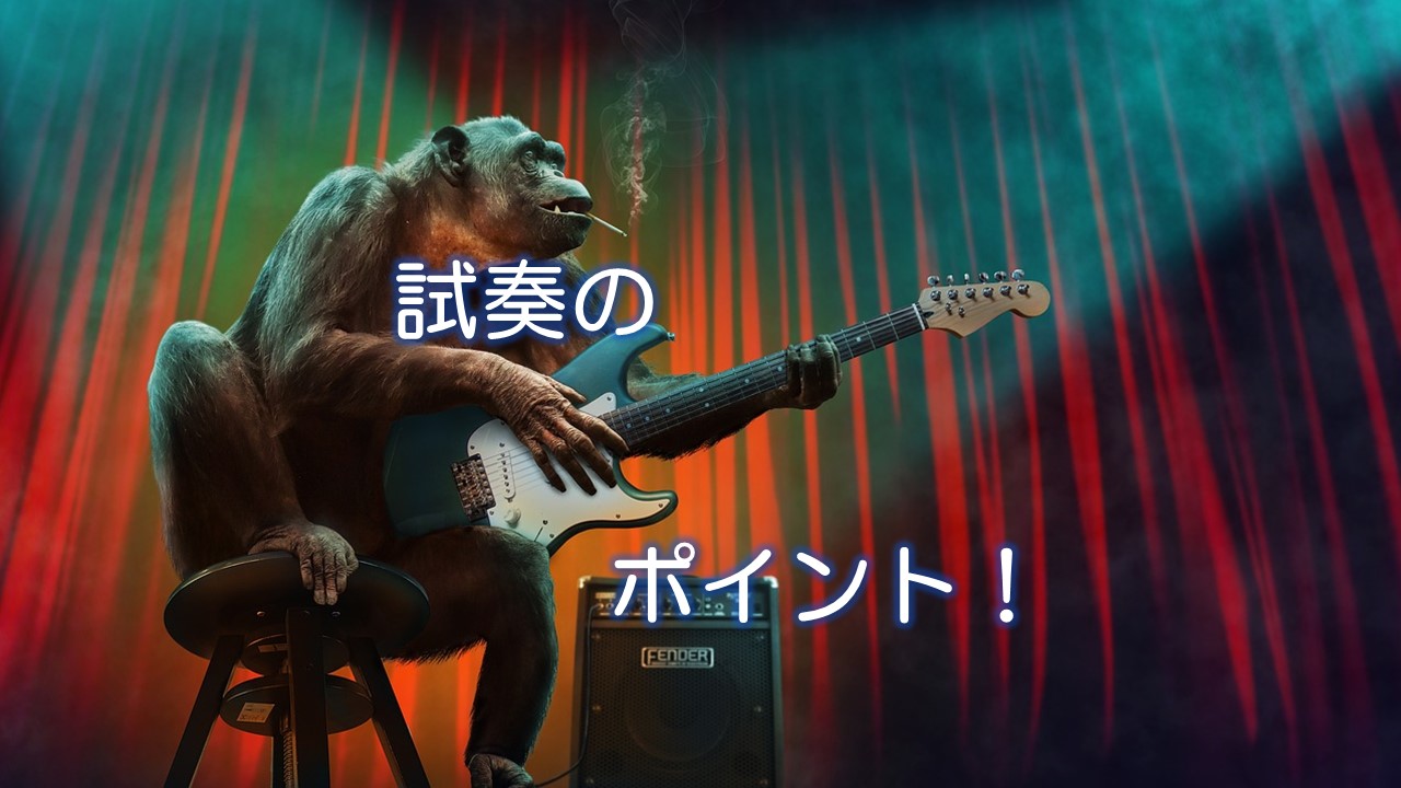 試奏のポイント！