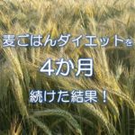 麦ごはんダイエットを4か月続けた結果！