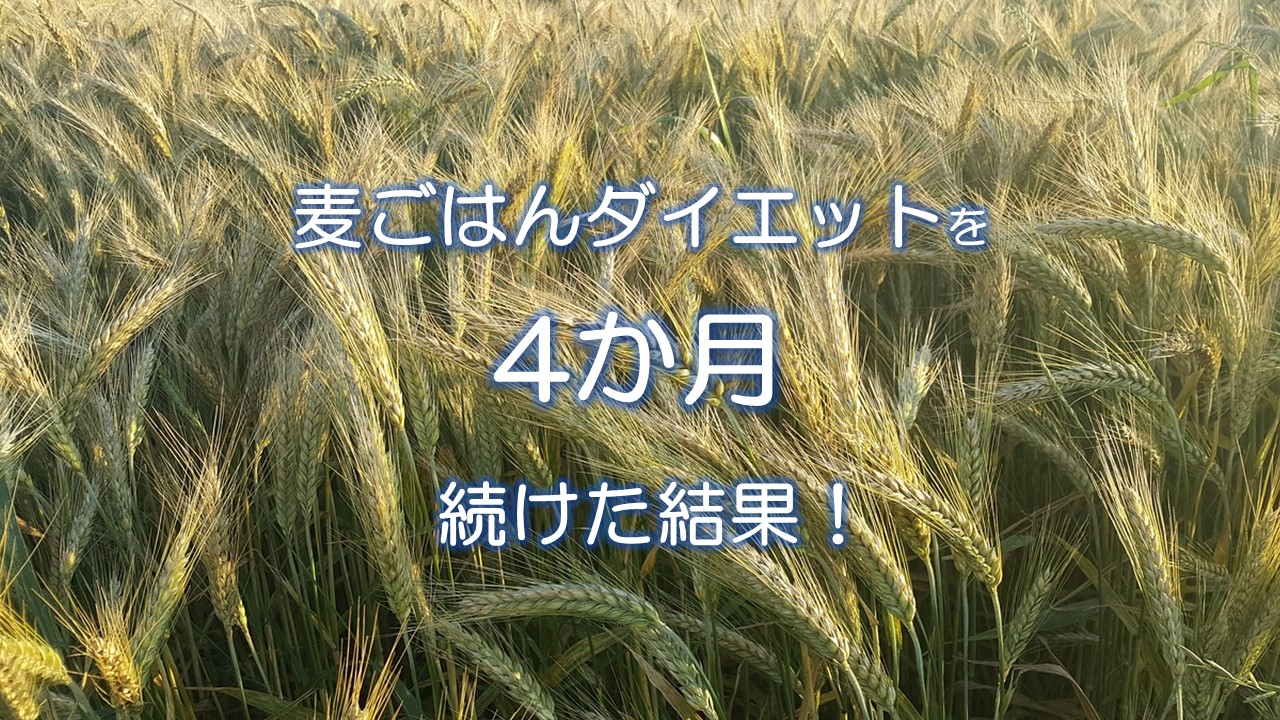 麦ごはんダイエットを4か月続けた結果！