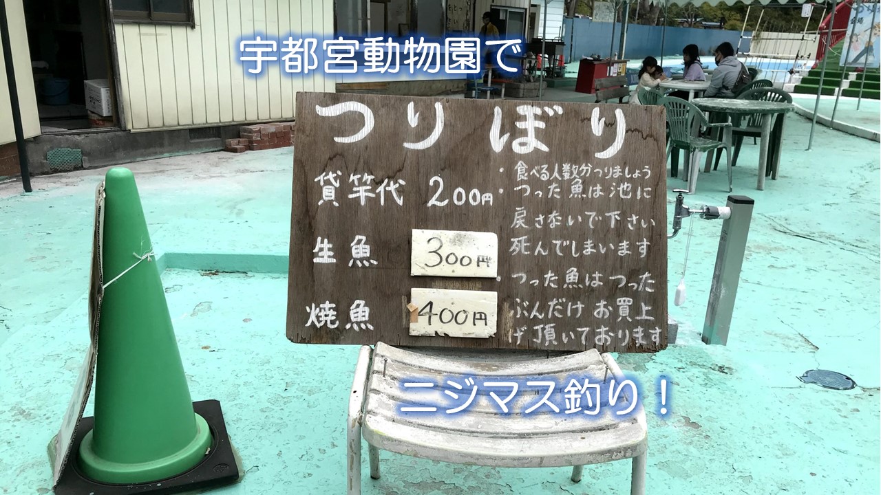 宇都宮動物園でニジマス釣り！