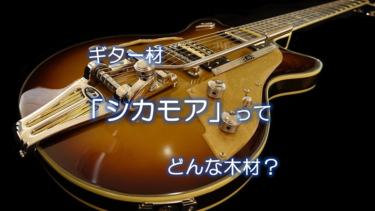 ギター材「シカモア」ってどんな木材？