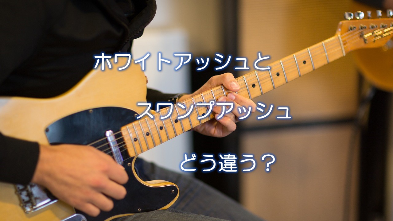 ホワイトアッシュとスワンプアッシュどう違う？