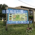 辻堂海浜公園の土日の混み具合は？