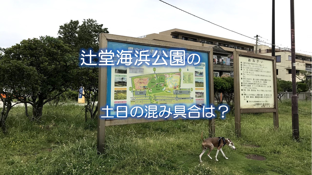 辻堂海浜公園の土日の混み具合は?