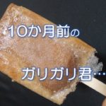 10か月前のガリガリ君…