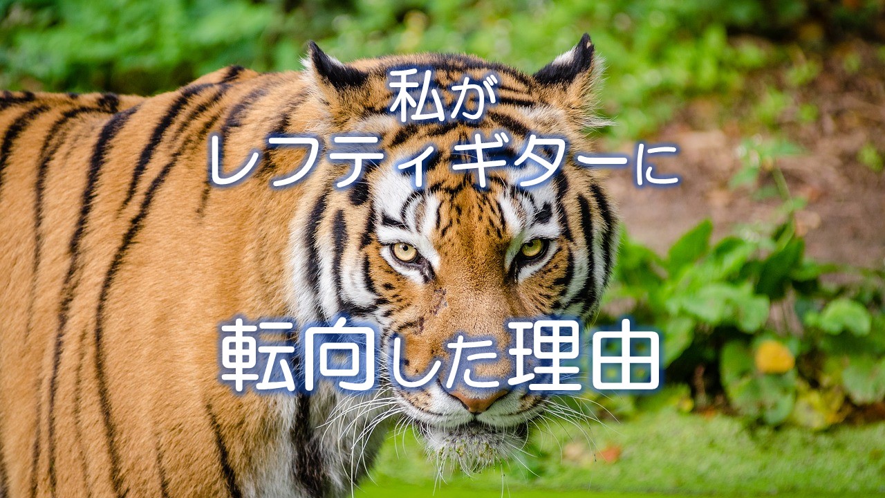 私がレフティギターに転向した理由